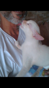 Screenshot_2015-02-06-12-45-58