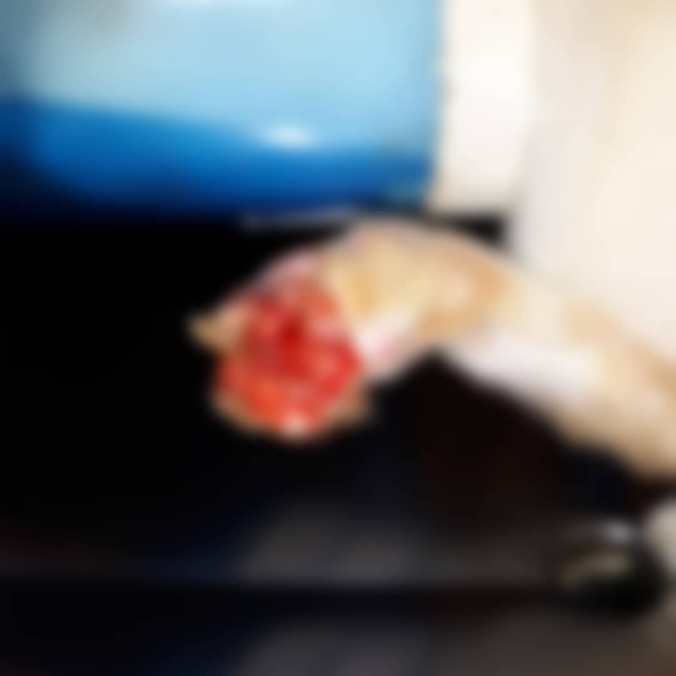 IMG_20180826_082423_458